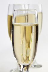champagne glasses