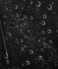Rain on car window