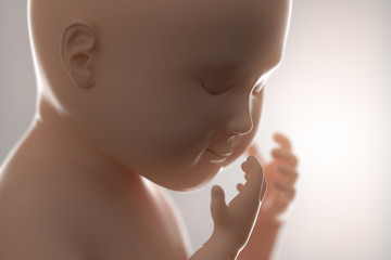 3d 4d ultrasound scan fetus pregnancy concept