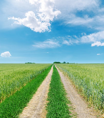 rural road to horizon in green fields and blue sky with clouds
