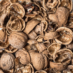 nut