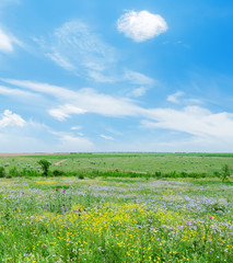 sunny day on green landscape with flowers and blue sky with clou