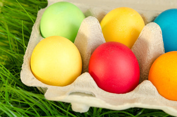 Bunte Eier im Karton