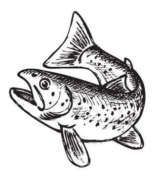 trout pattern