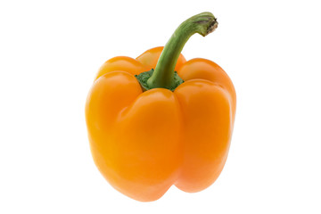 Bell pepper