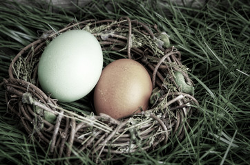 Bunte Eier im Osternest, altmodisch