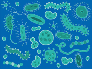 Hand Drawn Bacteria / Germs