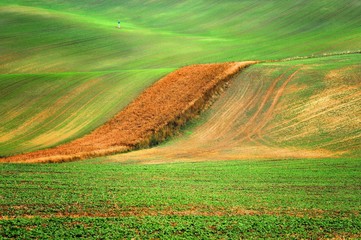 Morawy, krajobraz wiejski, uprawa pól © janmiko