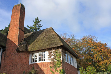 Fototapeta na wymiar thatched house, Cockington