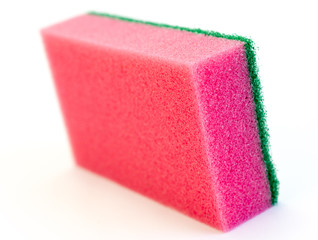 Red sponge