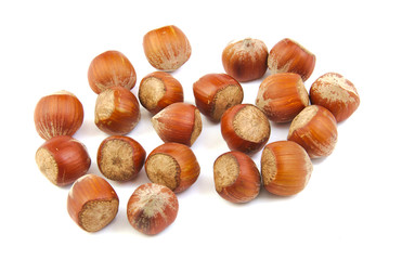 Handful of hazelnuts