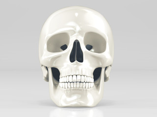 Skull on white background.