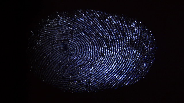 The discovery of the fingerprint on the surface