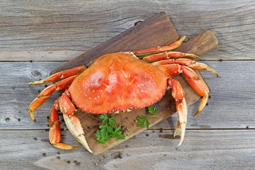 Printed kitchen splashbacks Sea Food Cooked Crab on Server board