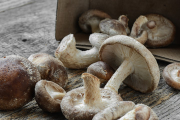 Shitake Mushroom in Cardboard Packaging on Wood Background