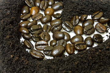 Coffee grounds and coffee bean