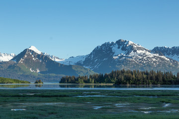 Valdez Landscape