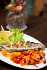 rainbow trout fish