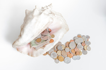 Big shell with money