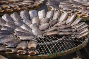 Dried Fish on threshing basket