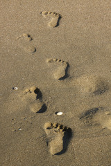 footprint on the sand
