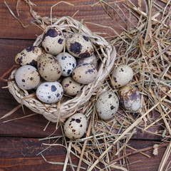 quail eggs