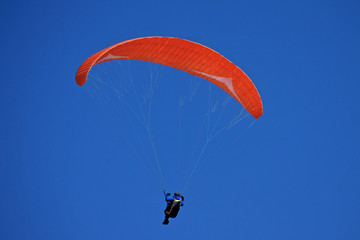 paraglider