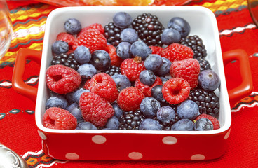 Assorted berries in red square porcelain vase