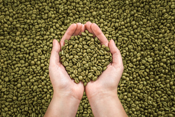 Green coffee beans in woman's hands. 