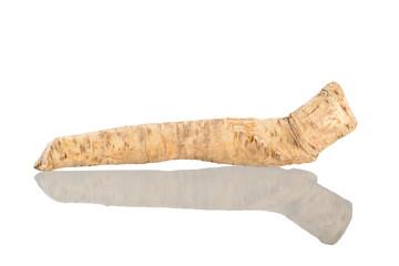 Meerrettich, Horseradish, Armoracia rusticana