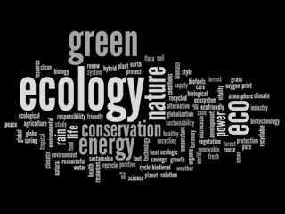 Conceptual ecology word cloud