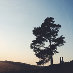Silhouette people and tree