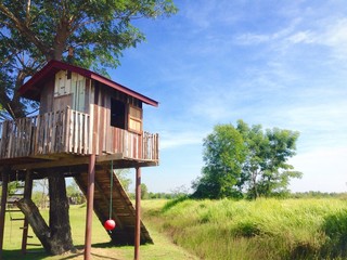 wooden treehouse in lovely rice field
