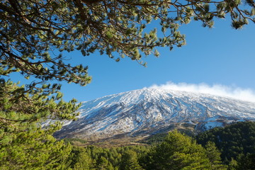 Obraz premium Etna Volcano Framed By Branches, Sicily