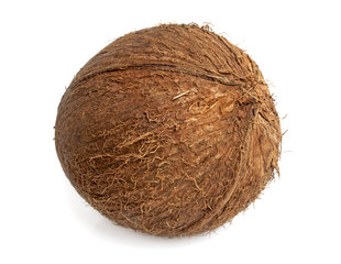 Coconut isolated on white background