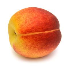 Nectarine