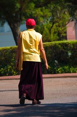 Fototapeta premium Moine