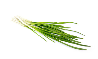Fototapeta premium Green Onion