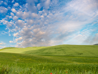 Countryside hills on a beautiful day