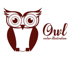 Bird design,vector illustration.