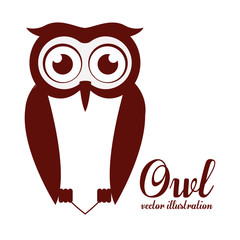 Bird design,vector illustration.