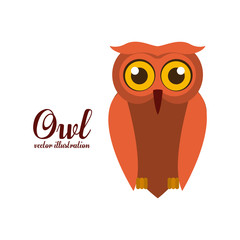 Bird design,vector illustration.