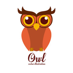 Bird design,vector illustration.