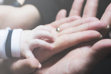 Family hands