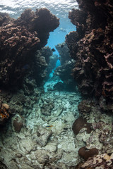 Fototapeta na wymiar Narrow Underwater Crevice