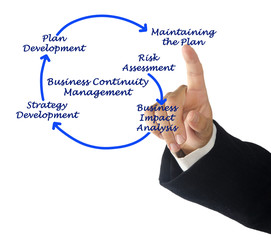 Business Continuity Management Steps