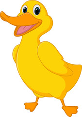 Cute duck cartoon