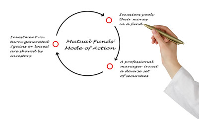 Obraz premium How Do Mutual Funds Work?