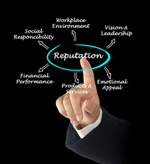 Corporate Reputation