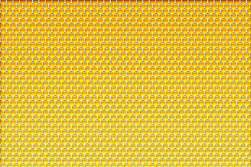 Honeycombs  background